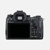 Core image 4 of PENTAX K-3 Mark III Monochrome