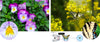 image of feature 2