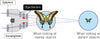 image of feature 2