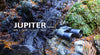 image of feature 1