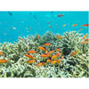 Image of Feature 3 Second Image
