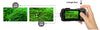Image of Feature 5