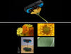 image of feature 4