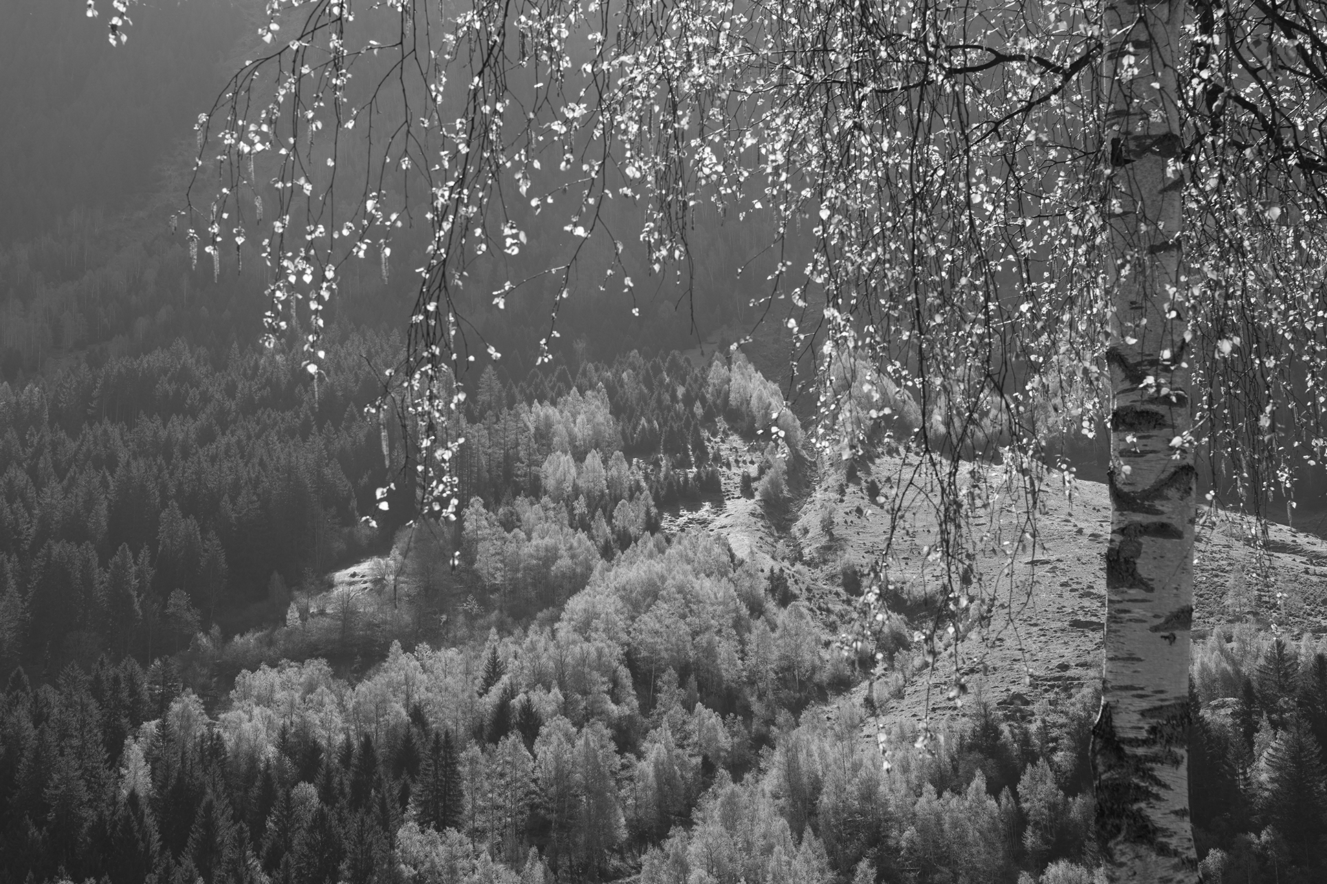 Switzerland by K-3 Mark III Monochrome