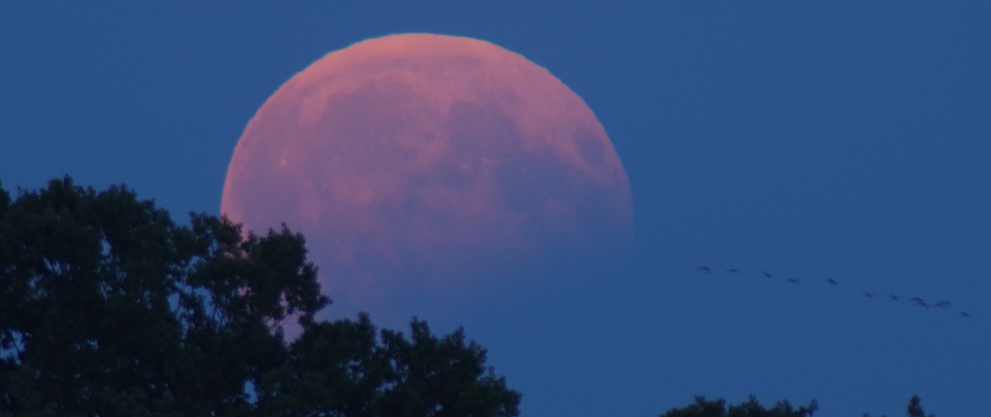 photographed with Pentax Digital SLR camera and O-GPS2